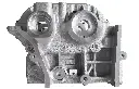Holden lwn_2.webp