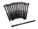 Nissan YD22/YD25 Head bolts M11*1.25*118